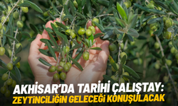 Akhisar’da zeytin çalıştayı başlıyor