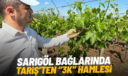 Sarıgöl bağlarında 3K hamlesi
