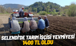 Selendi'de tarım işçisi yevmiyesi 1400 TL oldu