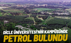 Dicle Üniversitesi'nin kampüsünde petrol bulundu! 6 sondaj kuyusu açılacak