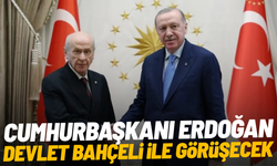 Cumhurbaşkanı Erdoğan, Devlet Bahçeli ile görüşecek