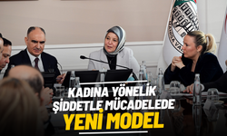 Kadına yönelik şiddetle mücadelede yeni model
