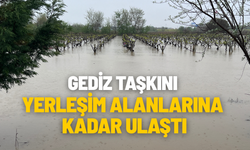 Gediz taşkını yerleşim alanlarına ulaştı