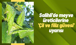 Salihli'de meyve üreticilerine 'Çil ve filiz güvesi' uyarısı