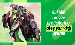 Salihlili meyve üreticilerine ateş yanıklığı uyarısı