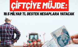 Çiftçiye müjde: 19.5 Milyar TL destek hesaplara yatacak