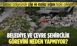 Vatandaş merak ediyor... Belediye ve Çevre Şehircilik görevini neden yapmıyor?