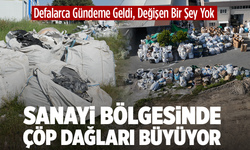 Defalarca Gündeme Geldi, Değişen Bir Şey Yok: Sanayi Bölgesinde Çöp Dağları Büyüyor