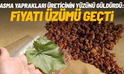 Üzümden önce yaprağı kazandırıyor
