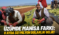 Üzümde Manisa farkı: 8 ayda 321 milyon dolarlık gelir
