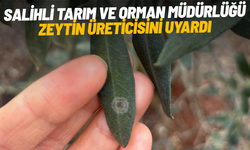 Salihli’de halkalı leke uyarısı