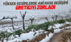 Yüksek kesimlerde ani hava değişimi üreticiyi zorladı
