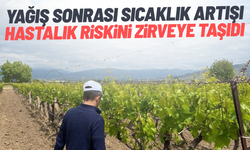 Yağış sonrası sıcaklık artışı hastalık riskini zirveye taşıdı