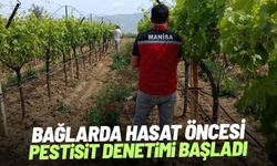 Bağlarda hasat öncesi pestisit denetimi başladı