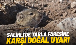 Salihli'de tarla faresine karşı doğal uyarı