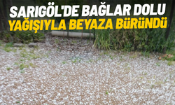 Sarıgöl'de bağlar dolu yağışıyla beyaza büründü