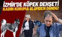 İzmir'de köpek dehşeti: Kadın koruma ölümden döndü!