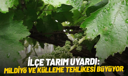 İlçe tarım uyardı: Mildiyö ve külleme tehlikesi büyüyor