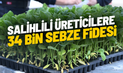 Salihlili üreticilere 34 bin sebze fidesi