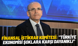 Finansal İstikrar Komitesi: "Türkiye ekonomisi şoklara karşı dayanıklı"