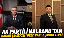 AK Partili Nalband’tan Hakan Şimşek’in ‘Gezi’ paylaşımına tepki