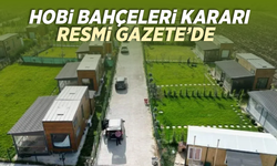 Hobi Bahçelerinde Yeni Dönem: Abonelik Kısıtlaması Geldi, Toplu Yıkım Yok