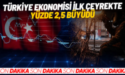 Türkiye ekonomisi ilk çeyrekte yüzde 2,5 büyüdü