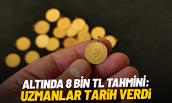 Altında 8 bin TL tahmini: Uzmanlar tarih verdi