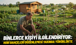 Binlerce kişiyi ilgilendiriyor: Hobi bahçeleri düzenlemesi yakında yürürlükte