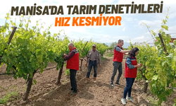 Manisa'da tarım denetimleri hız kesmiyor