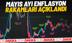Mayıs ayı enflasyon rakamları açıklandı