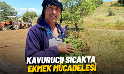 Kavurucu sıcakta ekmek mücadelesi