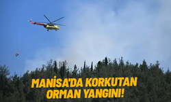 Manisa'da korkutan orman yangını!