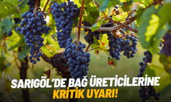 Sarıgöl’de bağ üreticilerine kritik uyarı