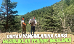 Orman yangınlarına karşı hazırlıklar yerinde incelendi