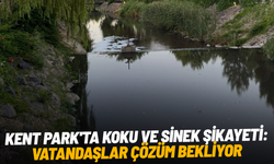 Kent Park'ta koku ve sinek şikayeti: Vatandaşlar çözüm bekliyor