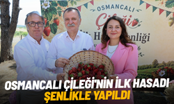 Osmancalı Çileği'nin ilk hasadı şenlikle yapıldı