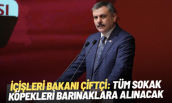 İçişleri Bakanı Çiftçi: Tüm sokak köpekleri barınaklara alınacak