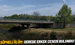 Şüpheli ölüm: Derede erkek cesedi bulundu