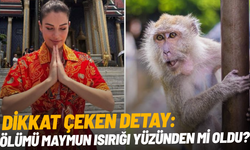 Ece İrtem'in ölümünde dikkat çeken detay: Tayland'da maymun ısırmış