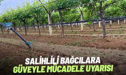 Salihlili bağcılara güveyle mücadele uyarısı
