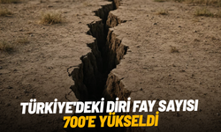Türkiye'deki diri fay sayısı 700'e yükseldi