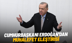 Cumhurbaşkanı Erdoğan'dan muhalefet eleştirisi