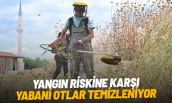 Manisa'da yangın riskine karşı yabani otlar temizleniyor