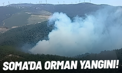Soma'da orman yangını!
