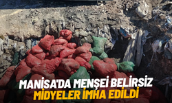 Manisa'da menşei belirsiz midyeler imha edildi