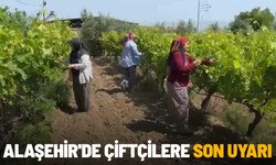 Alaşehir'de çiftçilere son uyarı