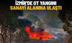 İzmir'de ot yangını sanayi alanına ulaştı