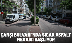 Çarşı Bulvarı'nda sıcak asfalt mesaisi başlıyor