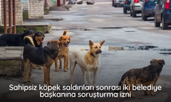 Sahipsiz köpek saldırıları sonrası iki belediye başkanına soruşturma izni